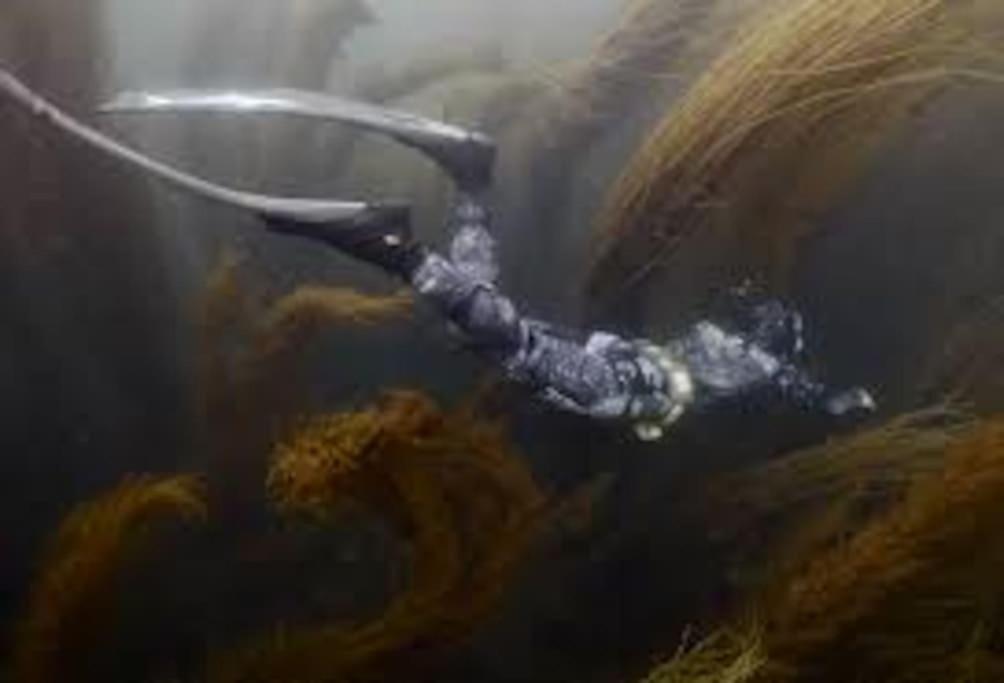 Gite Entre Mer Et Abers Landéda Zewnętrze zdjęcie