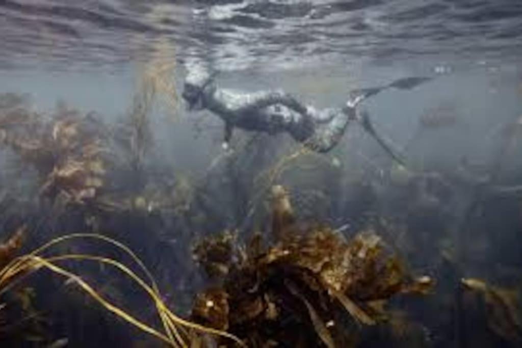 Gite Entre Mer Et Abers Landéda Zewnętrze zdjęcie
